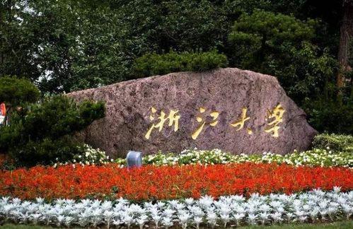浙江大学事件吃瓜,揭秘背后真相，吃瓜群众热议校园风云