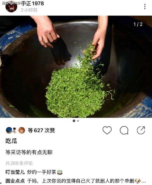 继续吃瓜喝茶