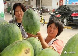 车停在路边吃瓜,悠闲吃瓜，感受夏日时光