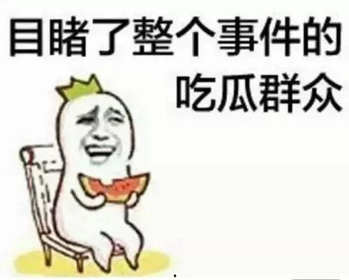 吃瓜群众的语录,揭秘娱乐圈幕后真相