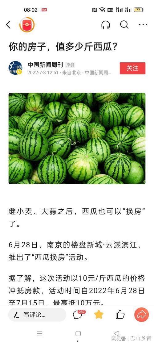 新城吃瓜,吃瓜群众揭秘娱乐圈最新热点