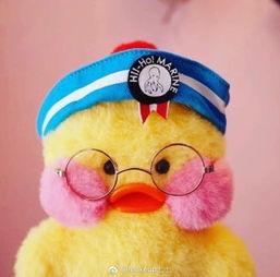 吃瓜鸭头像,揭秘吃瓜鸭的萌态魅力