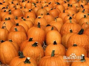 孕妇可以吃馕瓜,馕瓜，孕妇的滋补佳品