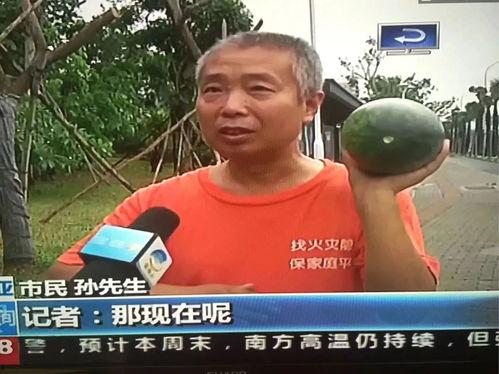 平阳吃瓜群众事件,一场网络舆论的风暴与反思