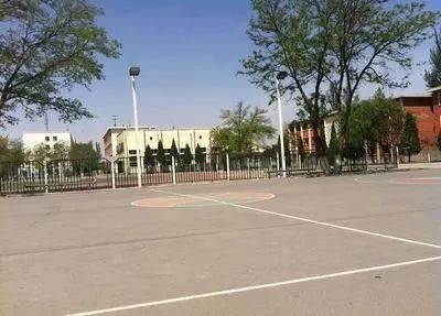 银川能源学院事件吃瓜,揭秘校园风波背后的真相