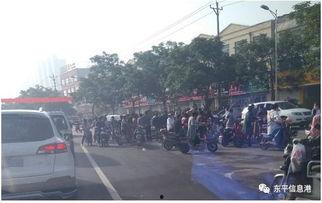 吃瓜网站朝阳街,吃瓜网站背后的故事与真相