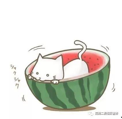 吃瓜头像 单人可爱,吃瓜头像单人可爱瞬间