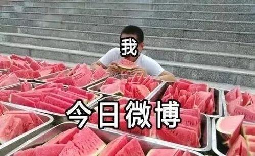 吃瓜品鉴师,品味瓜果背后的故事与奥秘