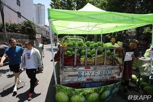 吃瓜徐州,一场别开生面的“吃瓜”之旅