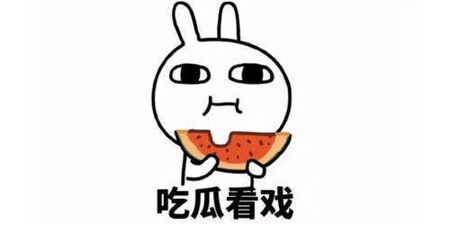 吃瓜团队照片文案搞笑,吃瓜团队欢乐瞬间大揭秘！