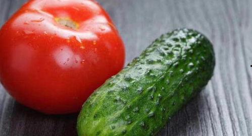 吃瓜的西红柿,揭秘夏日消暑新潮流