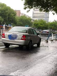 吃瓜撞上护栏,引发网友热议