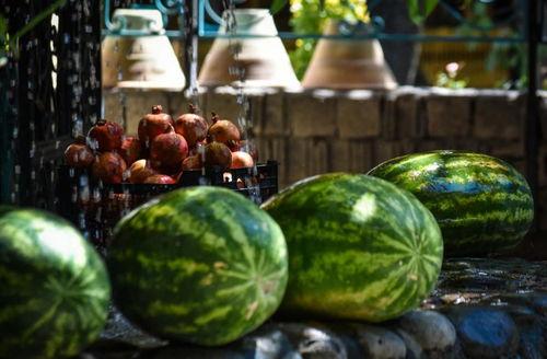 50元吃瓜,瓜果飘香美食之旅