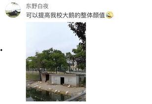 海事大学 吃瓜,揭秘校园里的“吃瓜”风云