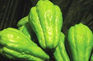 惊喜吃瓜图,一场视觉盛宴背后的故事