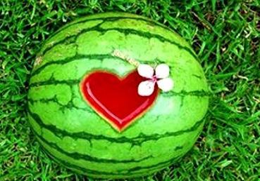 吃瓜的梦,一场奇幻的味蕾冒险