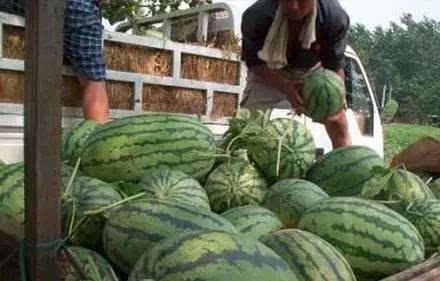 吃瓜山西,吃瓜群众的视角看山西美食文化