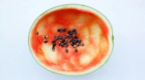 带着勺子吃瓜,品味生活，尽享悠闲时光