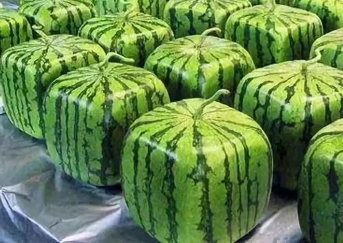 半年吃瓜,娱乐圈风云录