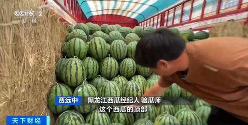 安泰广场吃瓜,吃瓜群众的热闹现场，揭秘网红美食背后的故事