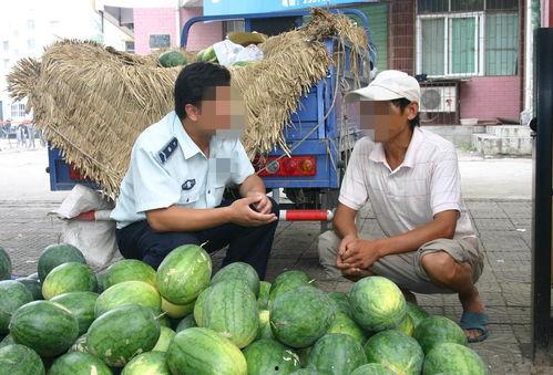 厦门疫情吃瓜图,一场网络热议背后的真相与反思