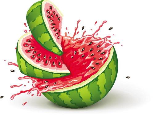 喜多宝宝吃瓜,一场甜蜜的夏日盛宴