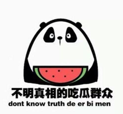 关于吃瓜这件事,揭秘吃瓜文化的魅力