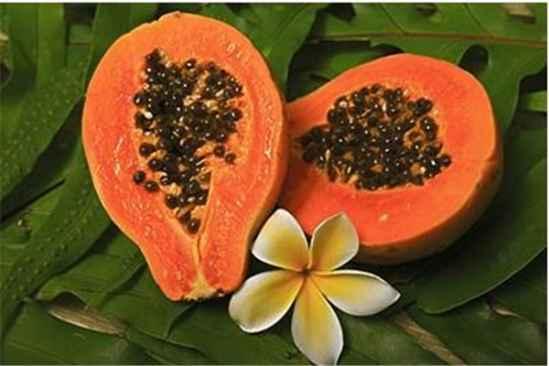 活熟瓜怎样吃,探索美味与健康的完美结合