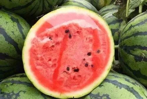 瓜瓜吃瓜保熟,揭秘美食背后的秘密