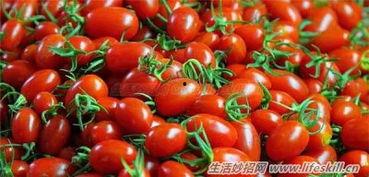 圣女视频吃瓜入口,一窥娱乐圈幕后风云