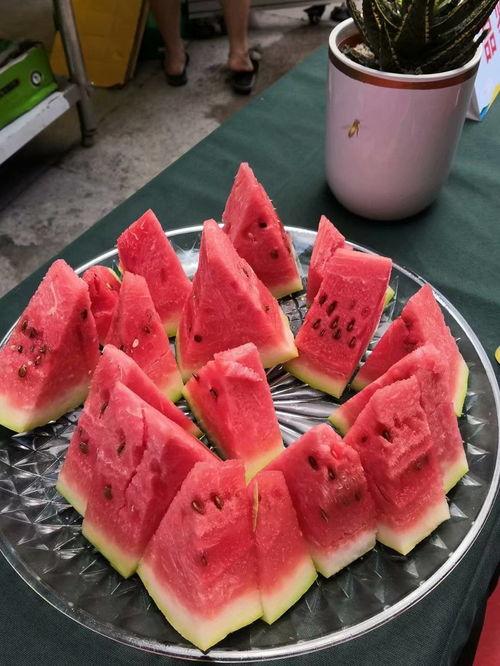 月影卫吃瓜,揭秘神秘瓜界背后的秘密