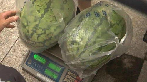 村委吃瓜,揭秘农村基层治理中的趣味与争议